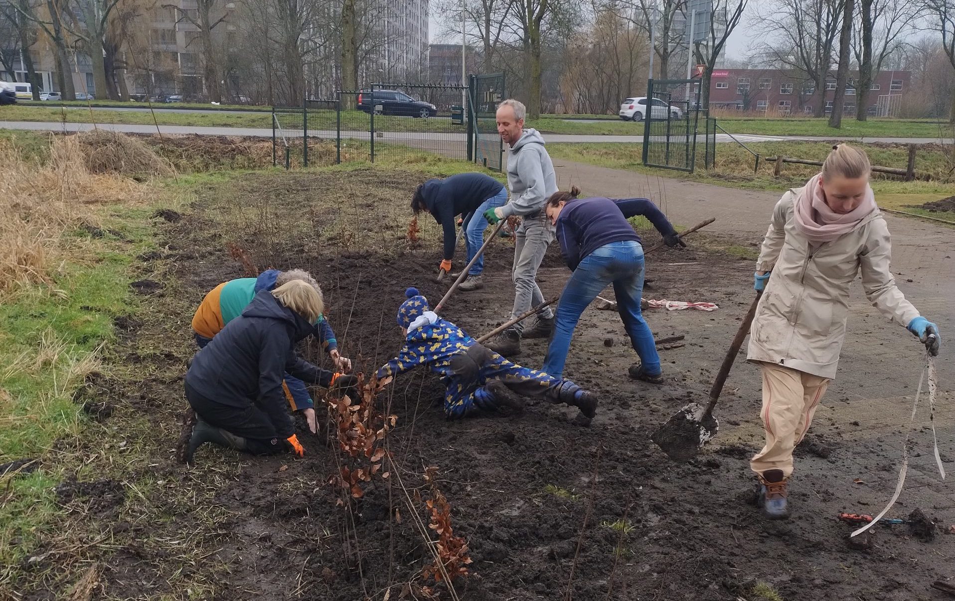 300 plantjes de grond in